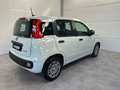 Fiat Panda 1.0 FireFly S&S Hybrid Icon Wit - thumbnail 4
