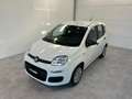 Fiat Panda 1.0 FireFly S&S Hybrid Icon Wit - thumbnail 2