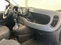 Fiat Panda 1.0 FireFly S&S Hybrid Icon Wit - thumbnail 7