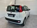 Fiat Panda 1.0 FireFly S&S Hybrid Icon Wit - thumbnail 5