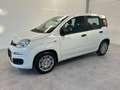 Fiat Panda 1.0 FireFly S&S Hybrid Icon Wit - thumbnail 3