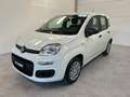 Fiat Panda 1.0 FireFly S&S Hybrid Icon Wit - thumbnail 1