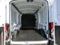 Ford Transit E 350 L3 Trend/Schutzbrief07/27od.100tkm Weiß - thumbnail 15