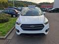 Ford Kuga Kuga 1.5 EcoBoost FWD ST Line Blanc - thumbnail 2