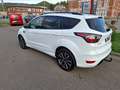 Ford Kuga Kuga 1.5 EcoBoost FWD ST Line Blanc - thumbnail 6