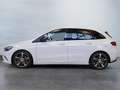 Mercedes-Benz B 220 d // BURM PROGRESSIVE NIGHT SPUR AHK PDC Alb - thumbnail 6