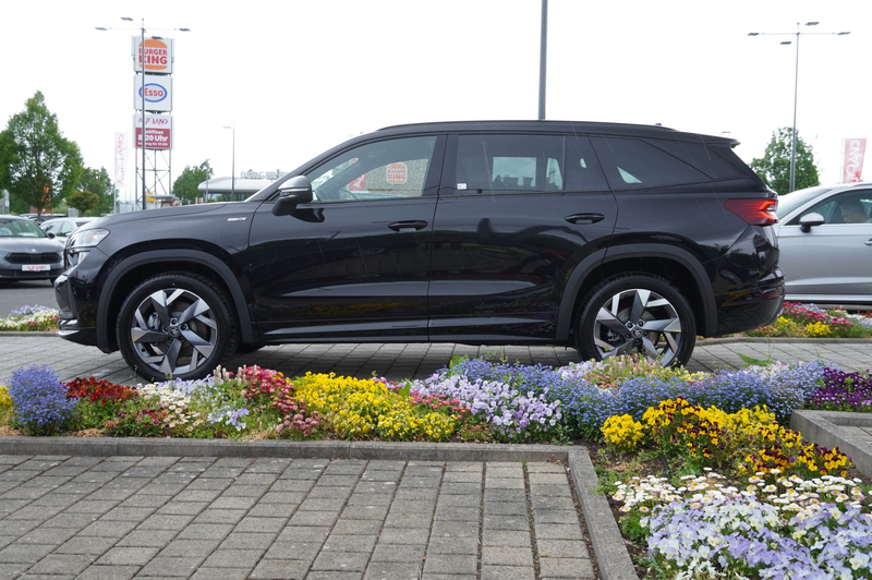 Skoda Kodiaq Sportline 1.5 TSI DSG Matrix 360° AHK — photo 4