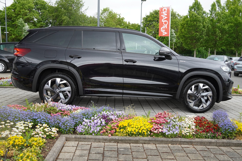 Skoda Kodiaq Sportline 1.5 TSI DSG Matrix 360° AHK — photo 8