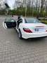 Mercedes-Benz SLK 250 7G-TRONIC, CarbonLOOK, AMG-Style, Comand, Harmann Білий - thumbnail 2