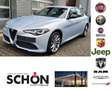 Alfa Romeo Giulia MY23 Ti 2.0 Turbo 16V 206kW (280 PS) Q4 Grau - thumbnail 1