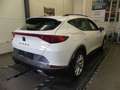CUPRA Formentor 1.4 e-HYBRID AHK, RFK, PDC, Allwetter Weiß - thumbnail 3