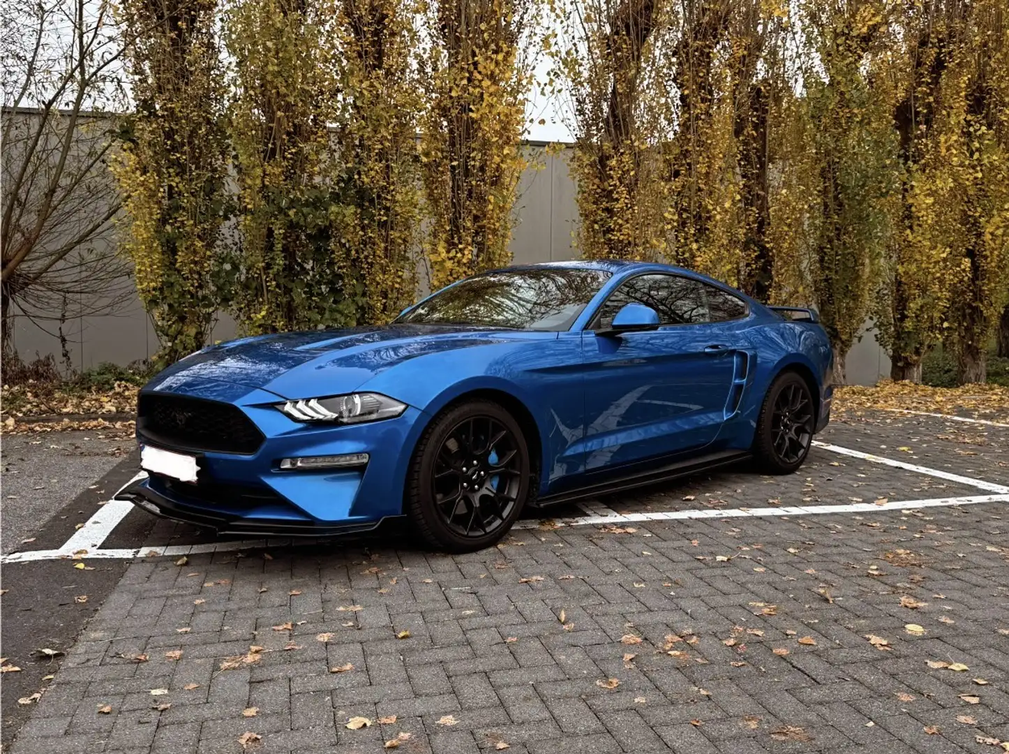 Ford Mustang Fastback 2.3 Eco Boost - 2