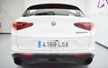Alfa Romeo Stelvio 2.2 Sprint RWD 190 Aut. Blanco - thumbnail 34