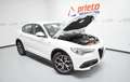 Alfa Romeo Stelvio 2.2 Sprint RWD 190 Aut. Blanco - thumbnail 45