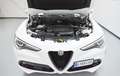 Alfa Romeo Stelvio 2.2 Sprint RWD 190 Aut. Blanco - thumbnail 44