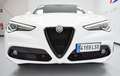 Alfa Romeo Stelvio 2.2 Sprint RWD 190 Aut. Blanco - thumbnail 46