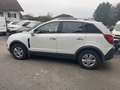 Opel Antara Antara 2,2 CDTI Style Aut. Style Weiß - thumbnail 4