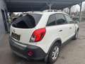 Opel Antara Antara 2,2 CDTI Style Aut. Style Weiß - thumbnail 8