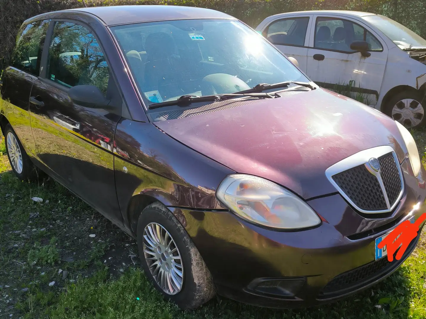 Lancia Ypsilon Ypsilon 1.2 8v Versus - Bordeaux Lilla - 2