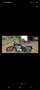 Harley-Davidson Sportster XL 883 Negru - thumbnail 4