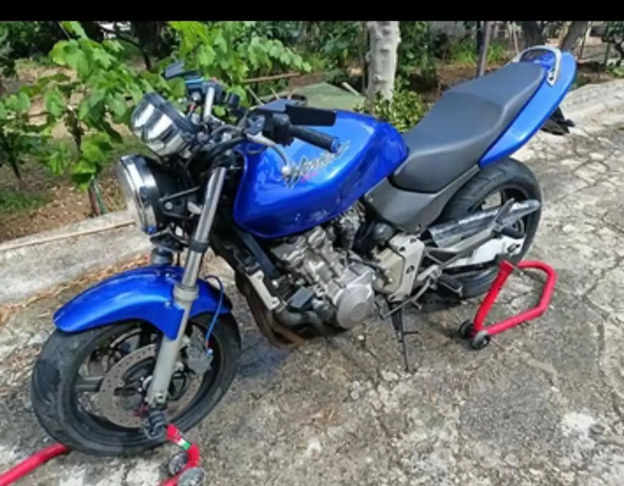 Honda Hornet