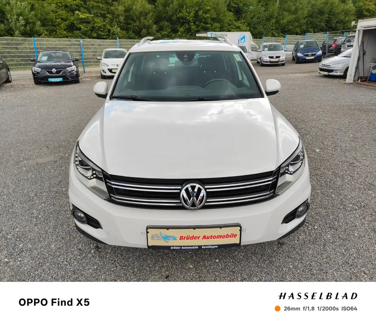 Volkswagen Tiguan 2,0 TDI 4Motion Track&Style BMT/Pano/AHK Blanc - 2