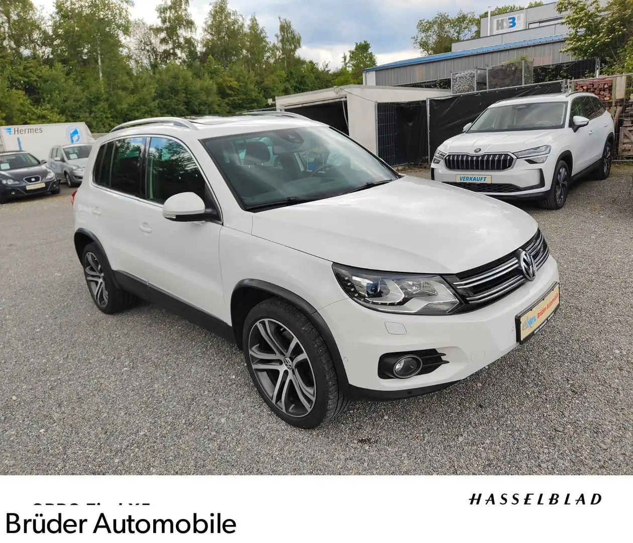 Volkswagen Tiguan 2,0 TDI 4Motion Track&Style BMT/Pano/AHK Blanc - 1