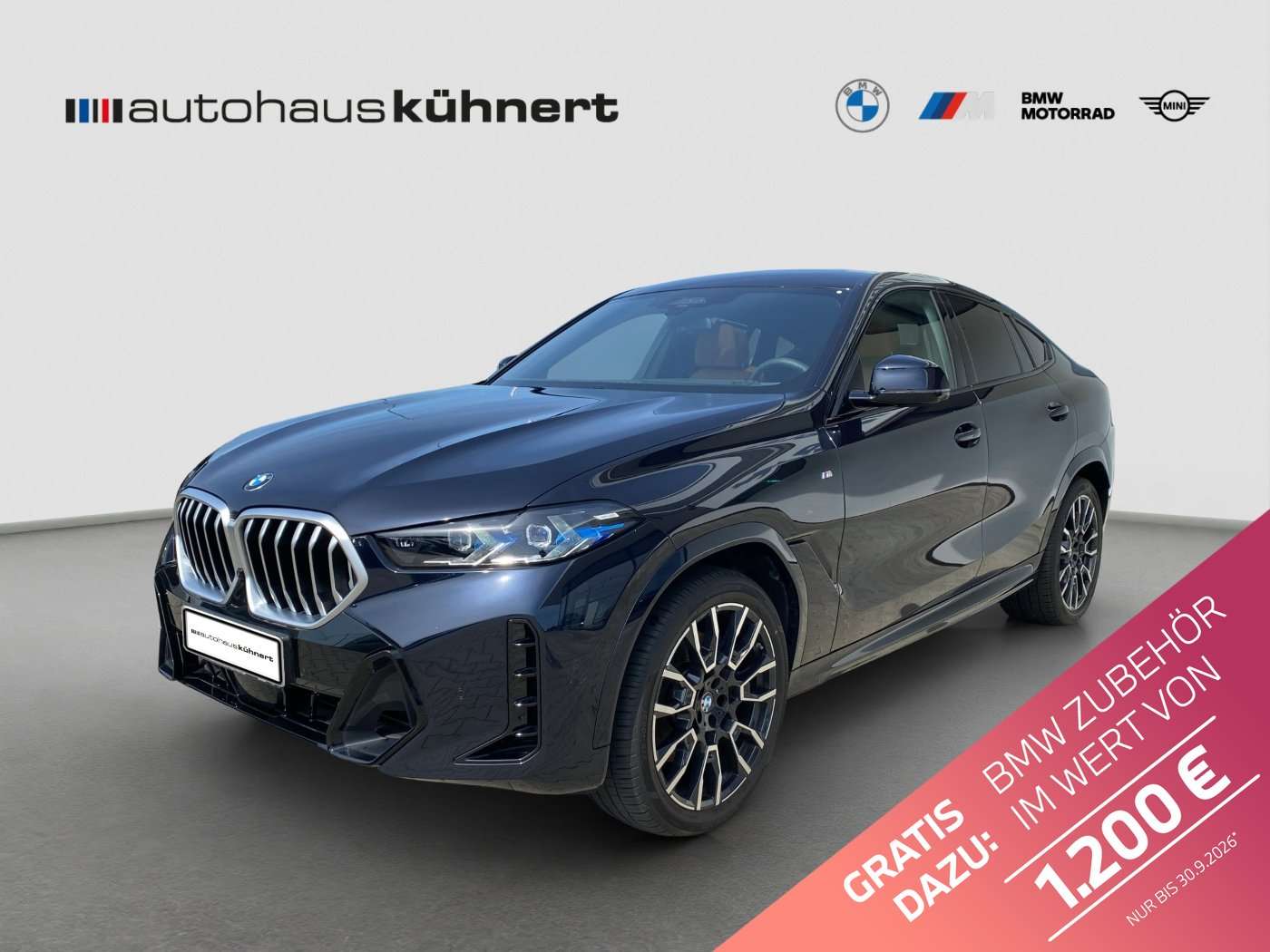 2025 BMW X6