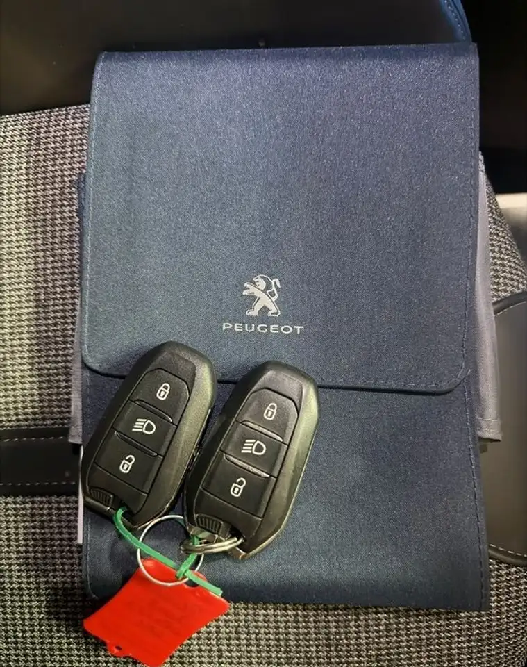 Peugeot 3008 3008 — photo 11