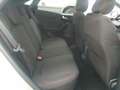 Ford Puma 1.0 EcoBoost MHEV ST-Line Aut. 125 Gris - thumbnail 26