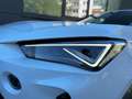 CUPRA Formentor 2.0 TSI DSG 4Drive Navi LED SHZ PDC Weiß - thumbnail 15