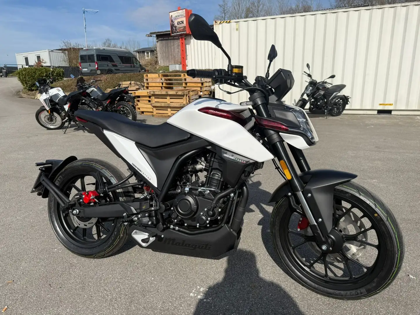 Malaguti Drakon 125 ABS - Neufahrzeug auf Lager AKTION !! Weiß - 1