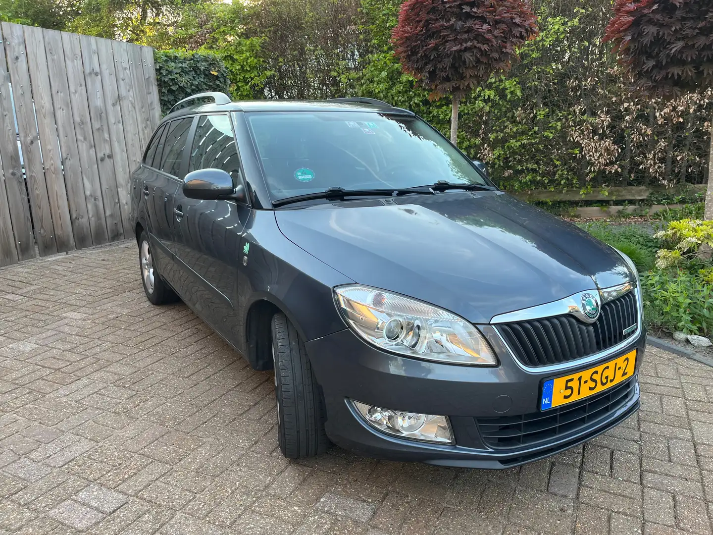 Skoda Fabia Fabia 1.2 TDI Greenline Gris - 1
