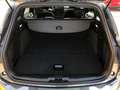 Ford Focus Turnier ST-Line 1.0 EcoBoost MHEV - RFK - ACC - GJ Grau - thumbnail 20