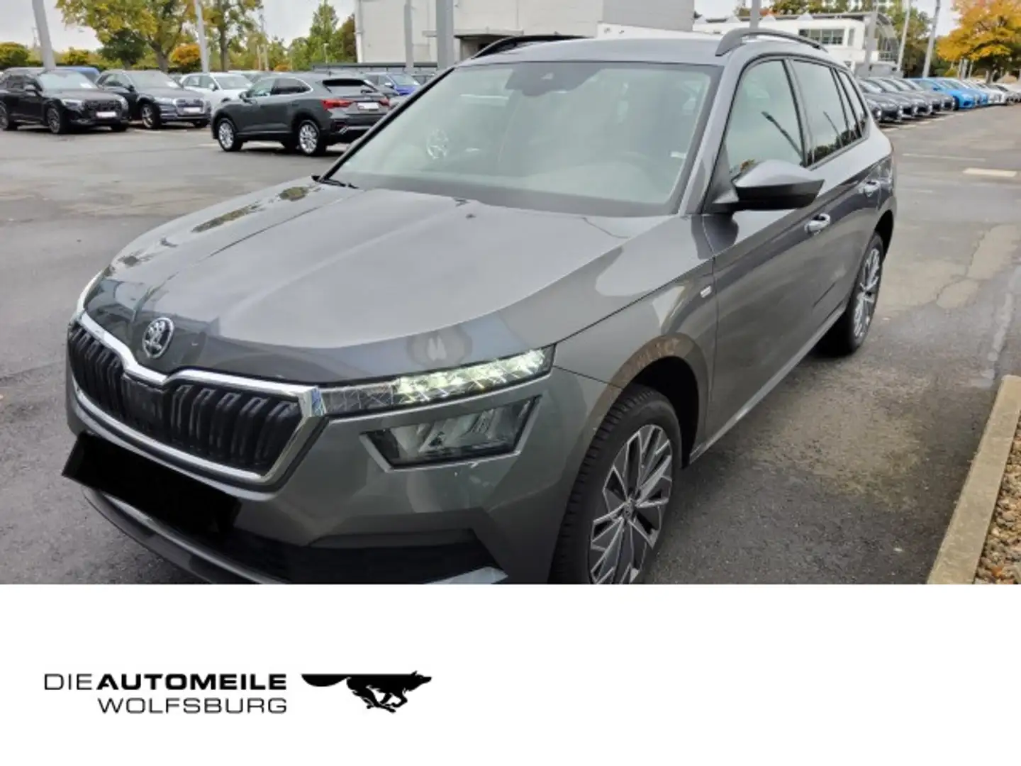 Skoda Kamiq 1.0 TSI DSG Tour LED/Einparkhi Grijs - 1