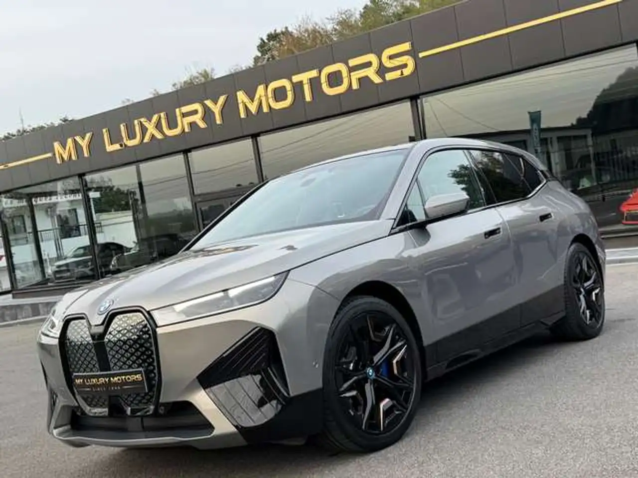 BMW iX