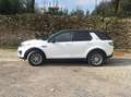 Land Rover Discovery Sport Discovery Sport I 2015 2.0 td4 SE awd 150cv auto Bianco - thumbnail 3
