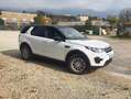 Land Rover Discovery Sport Discovery Sport I 2015 2.0 td4 SE awd 150cv auto Bianco - thumbnail 1