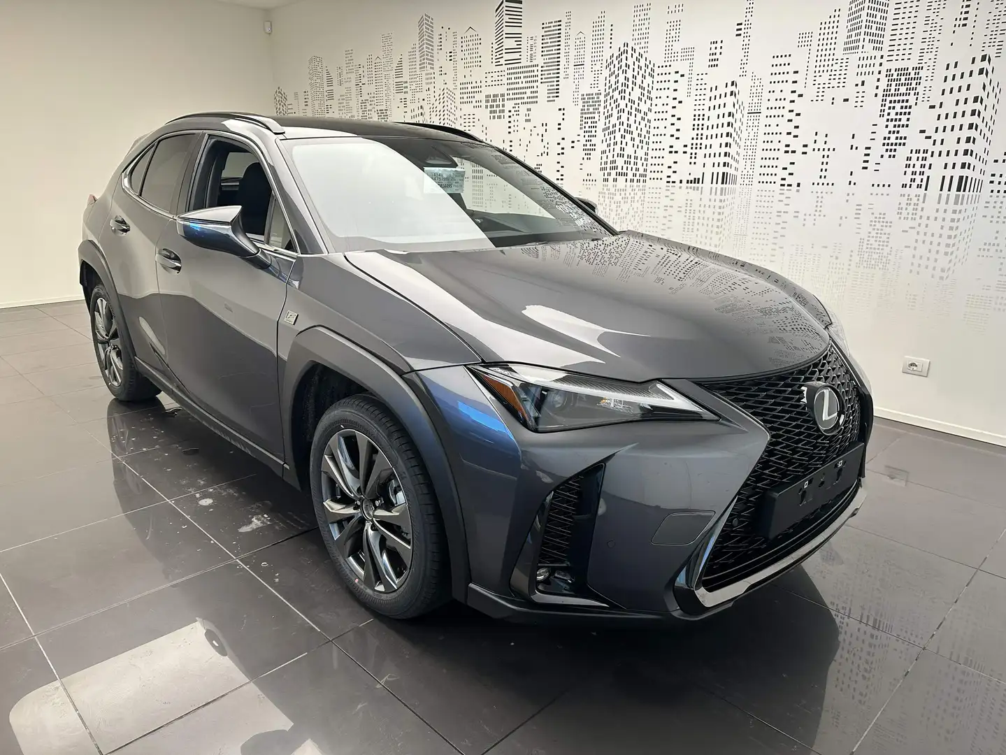 Lexus UX 300h UX 300h 2.0 F-Design 2wd cvt Šedá - 2
