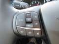 Ford Fiesta Active X 1.0 EcoBoost LED I Kamera Gris - thumbnail 12