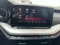 Skoda Octavia 2,0 TDI Ambition DSG *NEUES MODELL * Grau - thumbnail 24