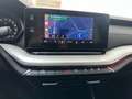 Skoda Octavia 2,0 TDI Ambition DSG *NEUES MODELL * Grau - thumbnail 17