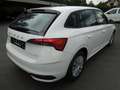 Skoda Scala 1.0 TSI Essence/LED/Klima/Sitzheizung/PDC Weiß - thumbnail 4