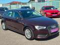 Audi A3 A3 SB Style 2,0 TDI *ZAHNRIEMEN NEU/SERVICE NEU* Rot - thumbnail 4