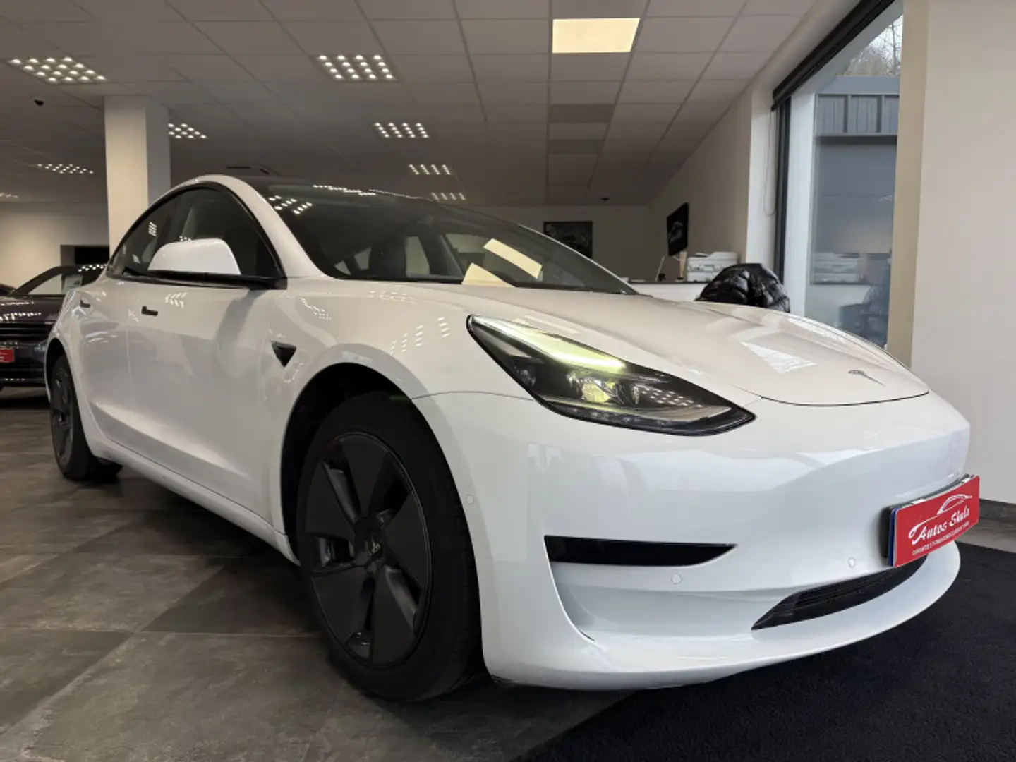 Tesla Model 3 STANDARD RWD PLUS MY21 - 2