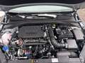 Kia Ceed SW / cee'd SW 1.5T 48V DCT ULTIMATE Edition STYLE-Paket Navi Dig Zilver - thumbnail 14