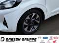Hyundai i10 TREND 1.0l Benzin (63 PS)NAVI RFK SHZ LHZ PPS HINT Bianco - thumbnail 6