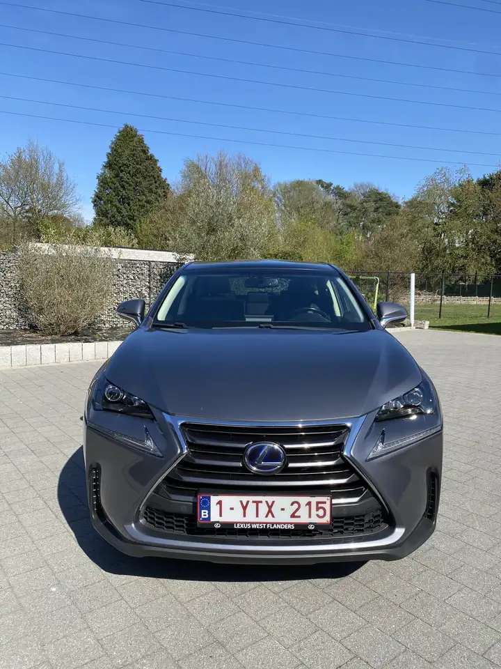 Lexus NX 300h