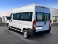 Opel Movano 2.2 BlueHDi 140 L2H2 VA verglast 3,5T Weiß - thumbnail 7