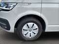 Volkswagen T6.1 California 2.0 TDI DSG Ocean STANDHZG+MARKI Grau - thumbnail 8